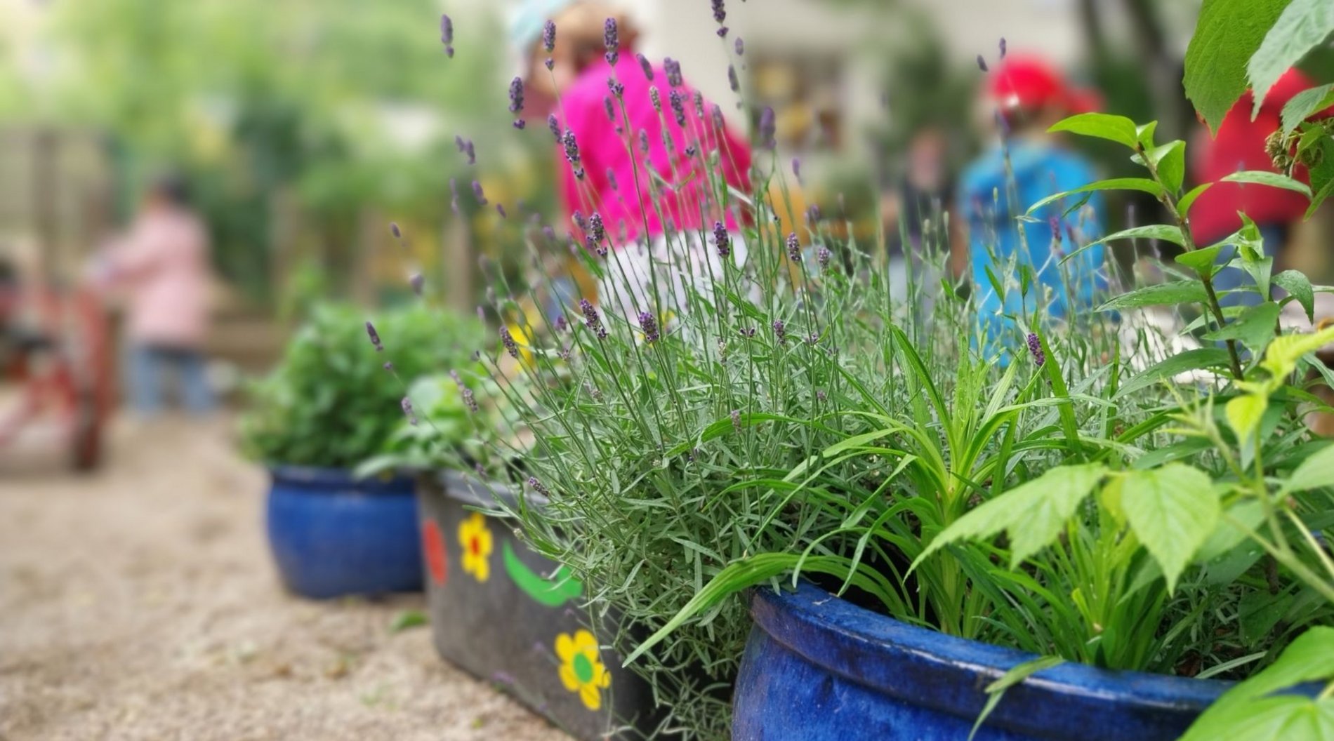 Dieses Bild zeigt Kinder, die im blühenden grünen Garten der Kita Eckstein spielen. Die Kinder sind von hinten zu sehen.