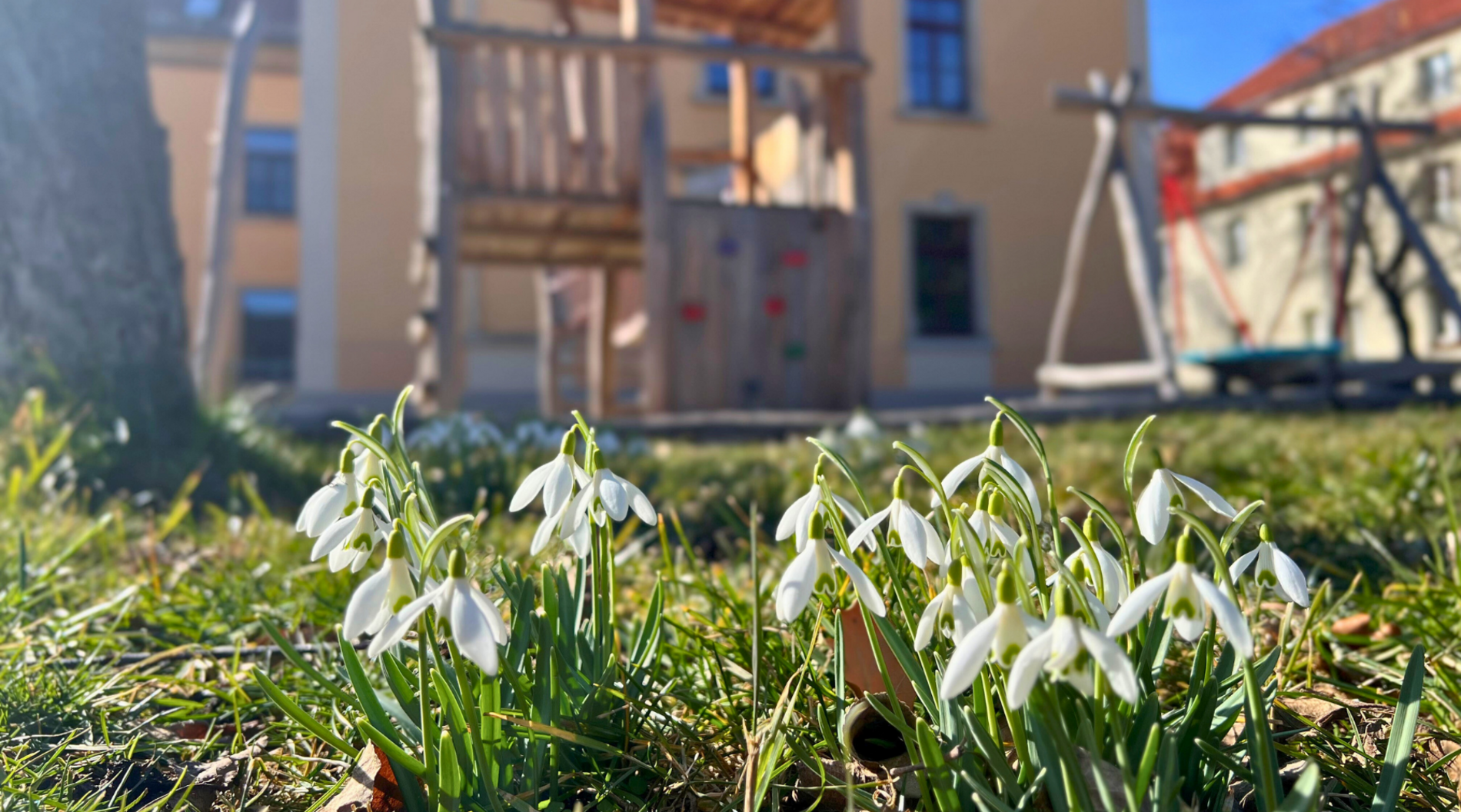 Dieses Bild zeigt den Spielplatz der OKAPI-Wohngruppen im Frühling: Die Sonne scheint, der Himmel ist blau und auf der Wiese wachsen Schneeglöckchen.