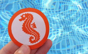 Auf diesem Bild hält jemand das Seepferdchen-Abzeichen in den Händen, im Hintergrund ist ein Schwimmbecken mit Blick ins Wasser zu erkennen.