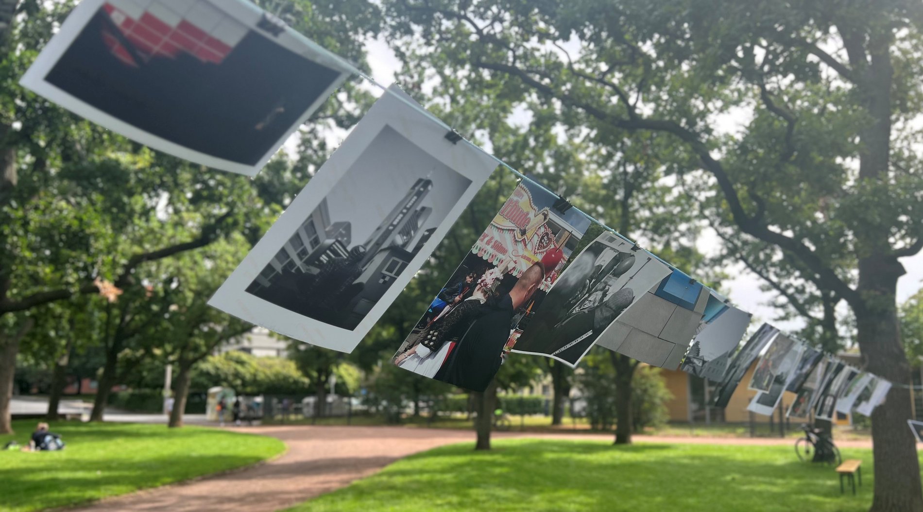 In einer Parkanlage ist zwischen zwei Bäumen eine Wäscheleine gespannt. Daran sind mehrere Fotos aufgehängt. 