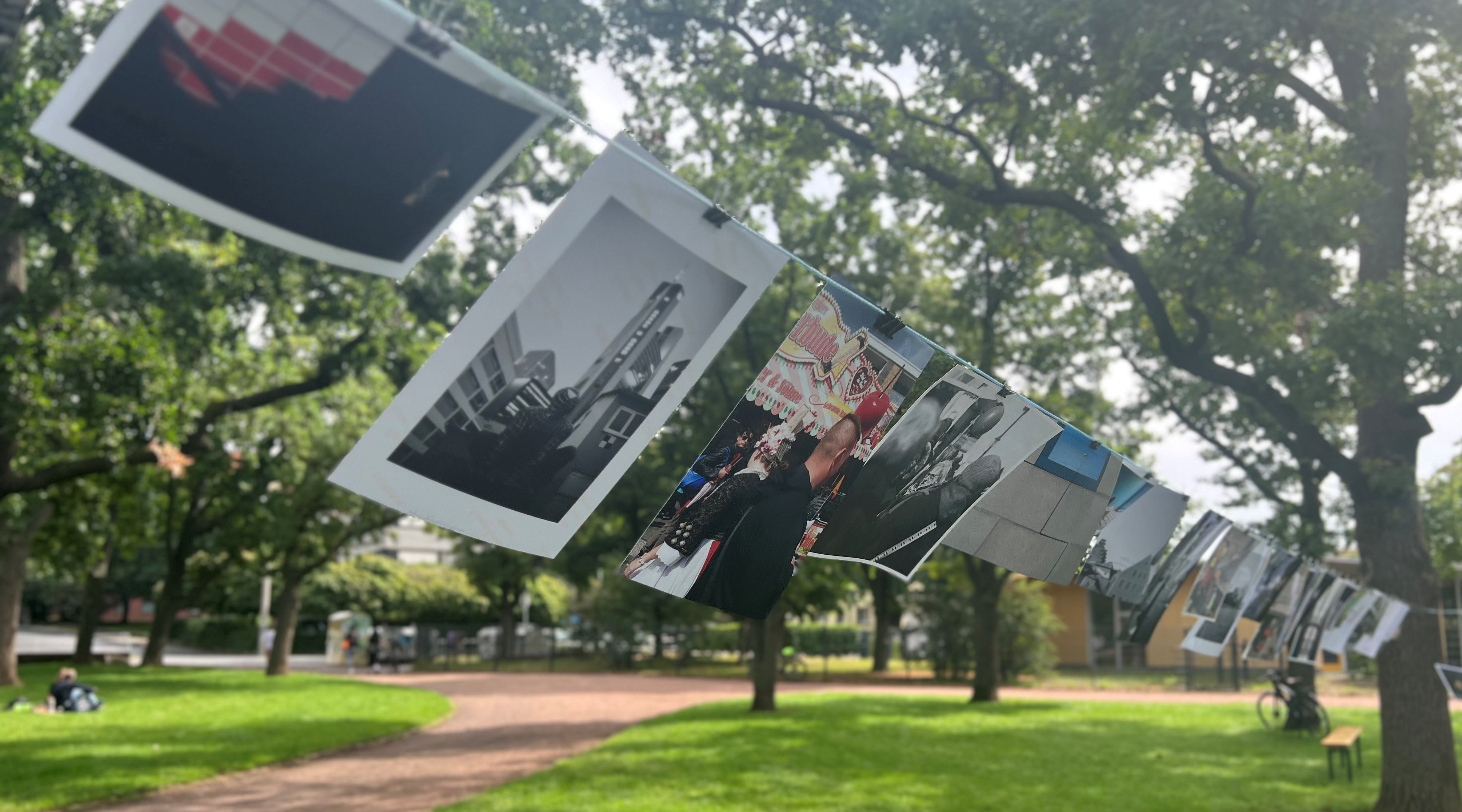 In einer Parkanlage ist zwischen zwei Bäumen eine Wäscheleine gespannt. Daran sind mehrere Fotos aufgehängt. 