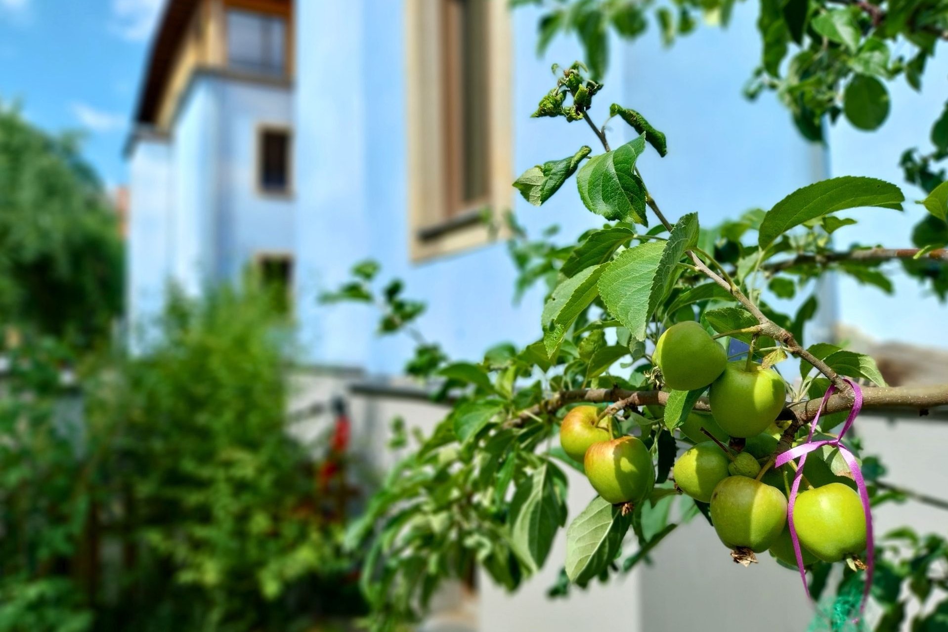 Außenbereich Evangelische Kita "Himmelsblau"