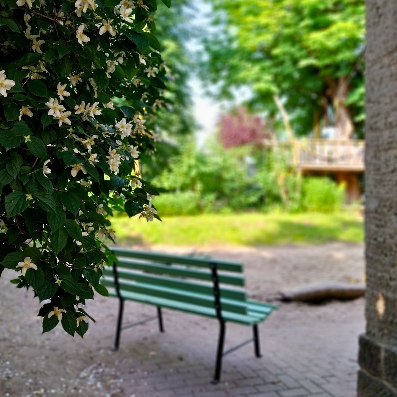 Außenbereich Evangelische Kita "Hasenkuhle"